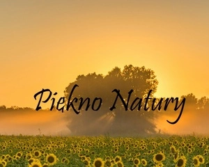  Piękno Natury 